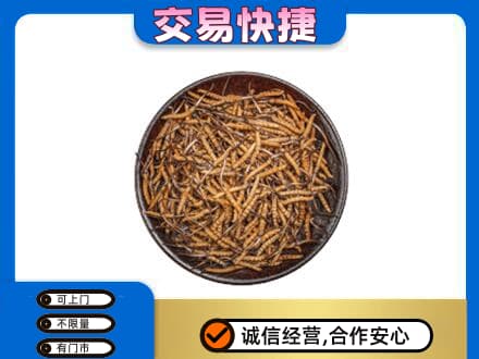荆门回收散虫草